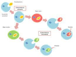 Inicio del planeta y evolución celular