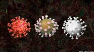 TERMINOS EPIDERMICOS