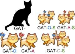 Formaciones de Palabras