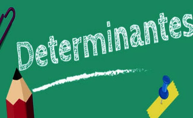 ¿Qué son los Determinantes?