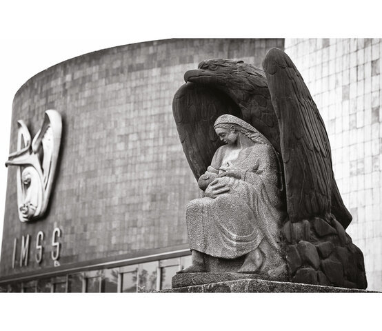 Instituto Mexicano del Seguro Social