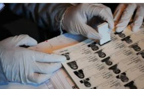 ELECCIONES FEDERALES