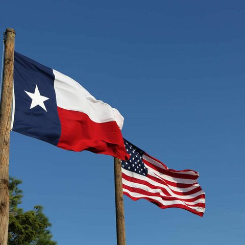 Texas is Admitted into the Union