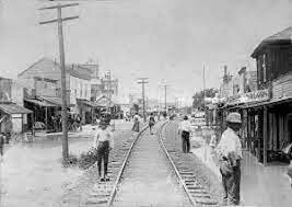 Jaybird-Woodpecker War