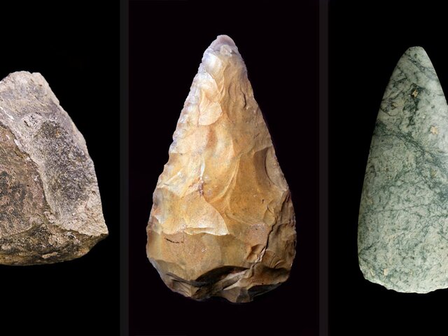 Homonid start Using Tools