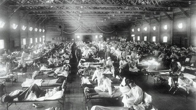 Influenza Pandemic