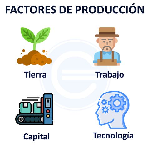 Inicio de la producción