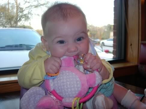 Nací en Jacksonville, Florida