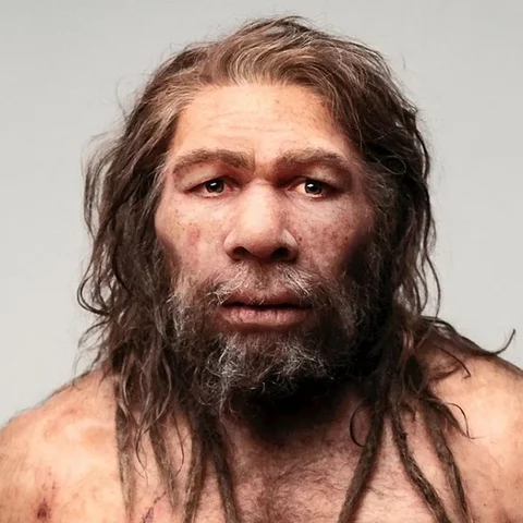 Homo neonderthalensis