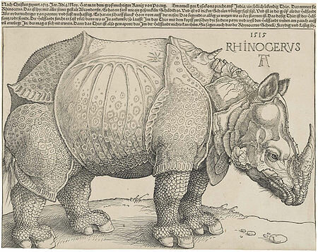 Rinoceront de Dürer