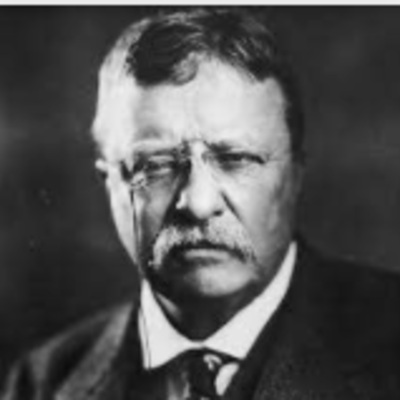 Timeline: Teddy Roosevelt Timeline Project