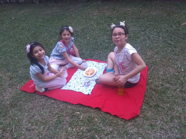 Dia de picnic