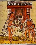 Estructura política y legal.