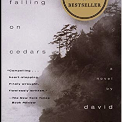 Timeline: Snow Falling on Cedars Timeline