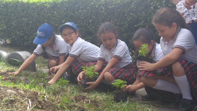 Sembrando un arbolito