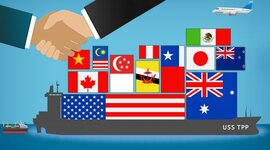 Timeline: TLC FIRMADOS EN LOS ULTIMOS 10 AÑOS. ALTERNATIVAS DE EXPANSION.