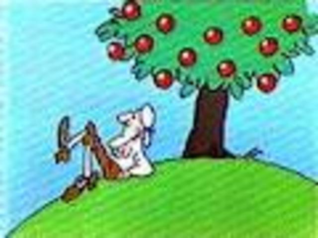 Newton's Laws of Gravity