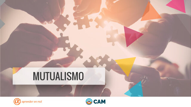 Mutualismo en Bogotá