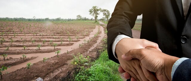 Primer Proyecto en Colombia