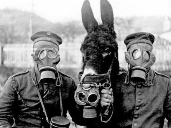 Gran Bretaña empieza a utilizar tanques y Austria gas veneno