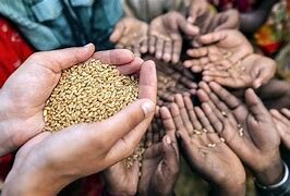 Crisis Alimentaria Mundial