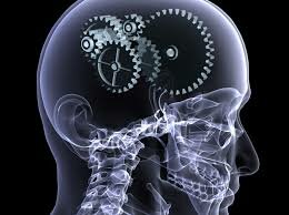 Modelos mentales compartidos/memoria transactiva.