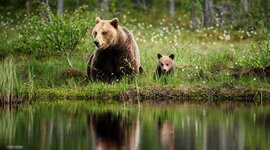 Timeline: Династия Романовых