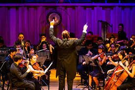 Nova incorporació a la orquesta