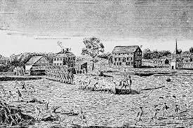 glorious american morning