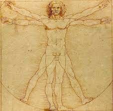 vitruvian man