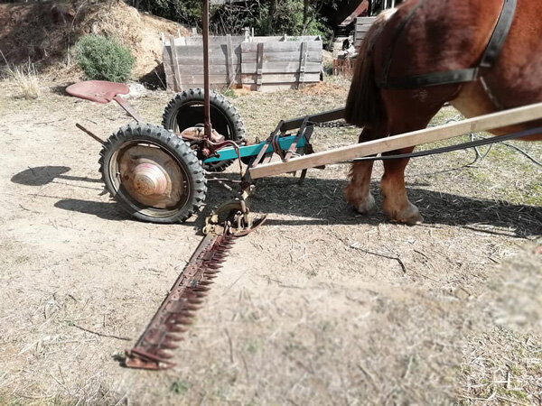 MAQUINA DE TRACCION ANIMAL