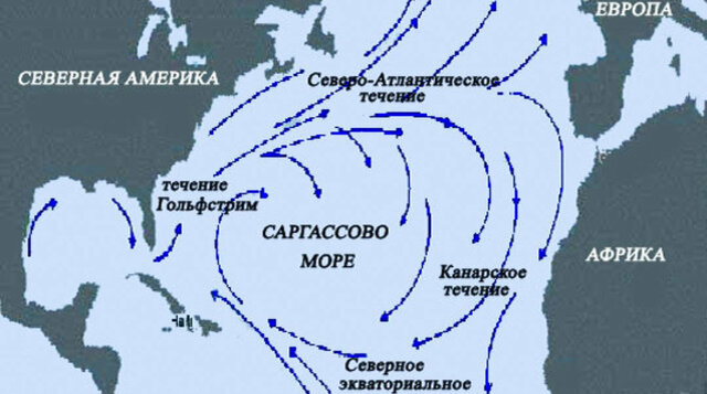 Открытие Саргассово Моря