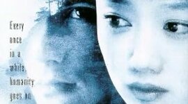 Timeline: SnowFallingOnCeders Timeline