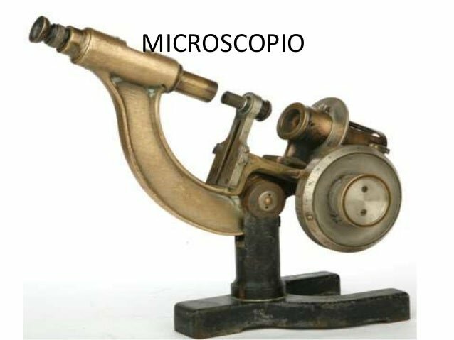 EL MICROSCOPIO COMPUESTO