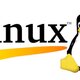 39513 linux