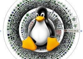 El núcleo Linux