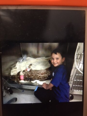 All the time with mom at the vet clinic