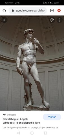 David(Miguel ángel)