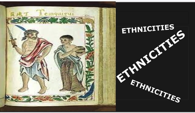 The Malay Mirgration