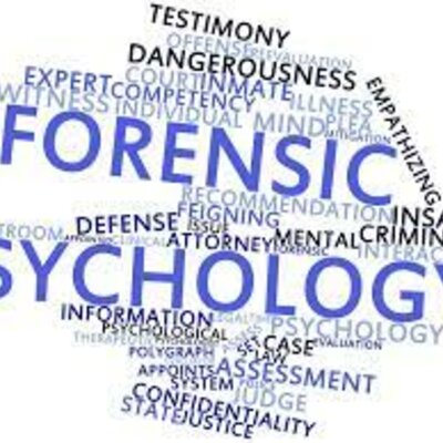 Timeline: El manual de psicología forense