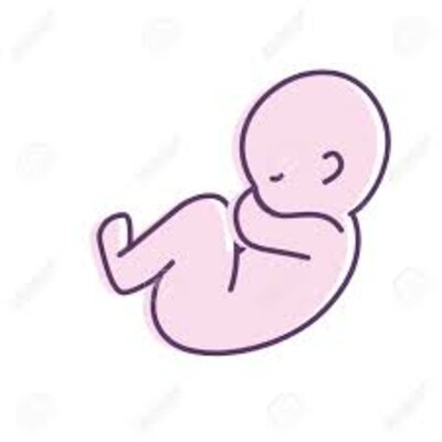 Timeline: Una historia que contar