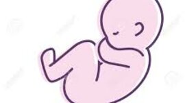 Timeline: Una historia que contar