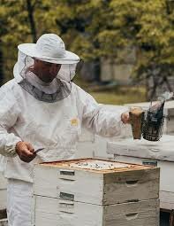 Benjamin Mee was introduced as the adventurous man he is.