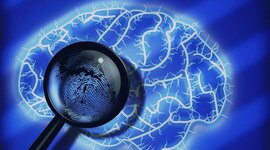 Timeline: CAPÍTULO 1  Historia de la Psicología Forense CURT R. BARTOL Y ANNE M. BARTOL I N