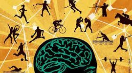 Timeline: Historia de la psicología del deporte: