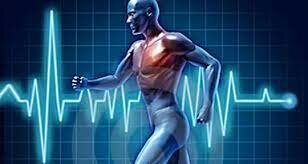 El periodo entreguerras 1920-1945