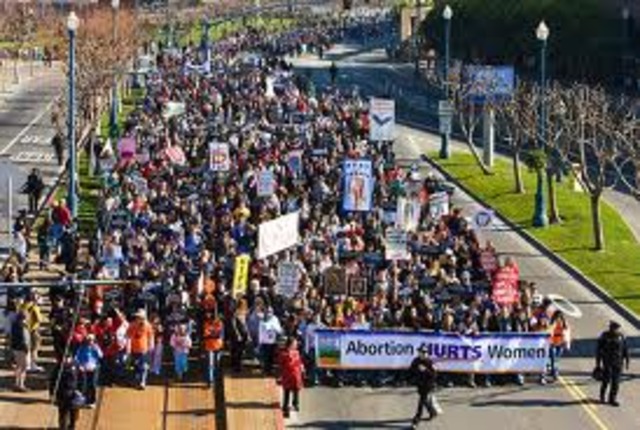 The Pilgrims Journey