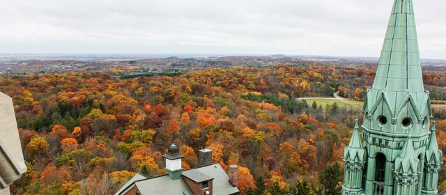 proporción de  exámenes psicológicos