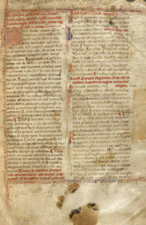 Forum Iudicum