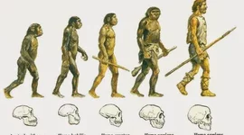 Timeline: La evolucion de los humanos.